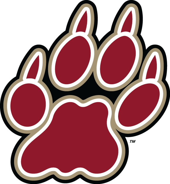 Lafayette Leopards 2000-Pres Alternate Logo v4 iron on transfers for fabric
